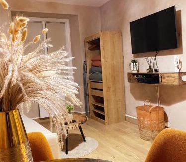 Nantes Centre Apartment | Charmant T1 hypercentre Nantes