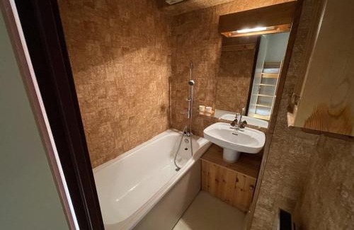 Laveissiere Apartment | Charmant T2 cabine au pied des pistes avec balcon et commodités - FR-1-787-85