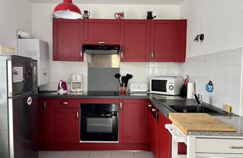 Cambo-les-Bains Apartment | Charmant T2, centre Cambo, calme, Tt confort, terrasse, parking, proche commerces - FR-1-495-5
