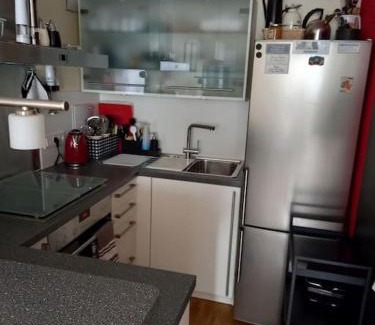 Soflingen Apartment | Charmante 2- Zi-Wo mit Dach-Terrasse