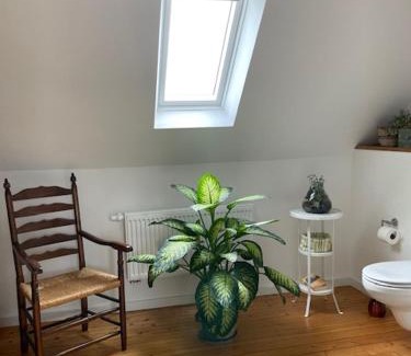 Osnabrueck Apartment | Charmante Altbauwohnung in perfekter Lage