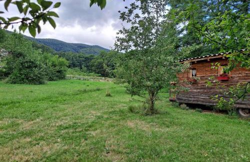 Saint-Cirgues-de-Prades Ski Chalet | Charmante Roulotte atypique
