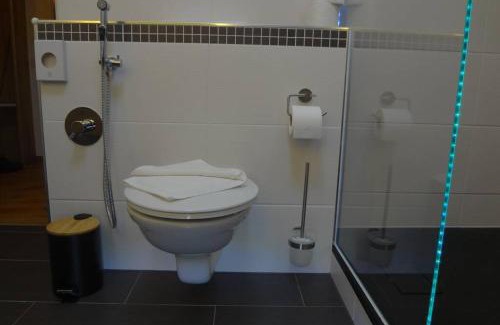 Oberhof Apartment | Charmante rustikale Jägersuite mit el Kamin H2O Therme Oberhof
