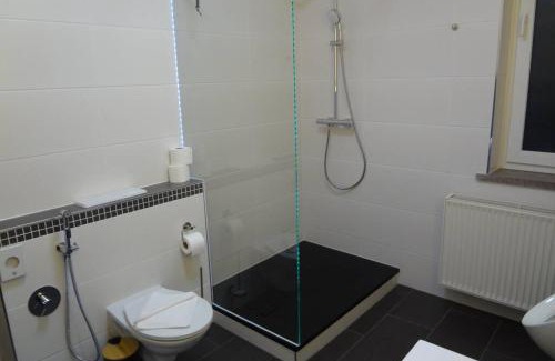 Oberhof Apartment | Charmante rustikale Jägersuite mit el Kamin H2O Therme Oberhof