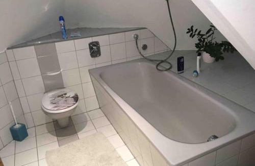 Ludwigsburg Apartment | Charmantes Dachloft mit spektakulärer Aussicht
