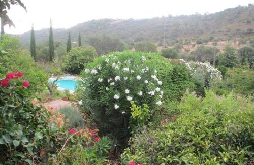 Silves House | Charming Country House in Silves