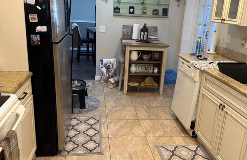 New Port Richey East House | Charming 1-room/bedroom in shared home near downtown New Port Richey.