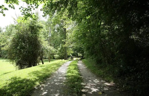 Dahlonega Cottage | Charming 1935 Cottage: "The Little House"
