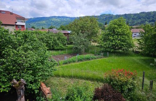 Bons-en-Chablais House | Charming 19th-century home and attached apartment