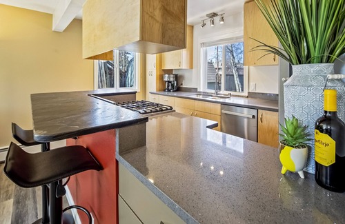 North Star House | Charming 1BR w/pull-out sofa and smart TV - dog friendly