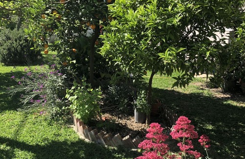 Agia Marina House | Charming 2-bed House in Kallithea