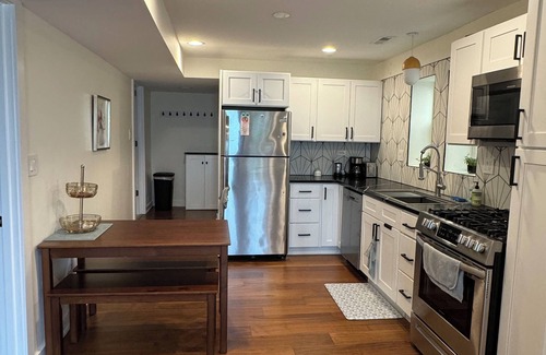 Bridgeport Apartment | Charming 2-bedroom 1 bathroom with plunge pool, new gazebo @ Bridgeport Chicago