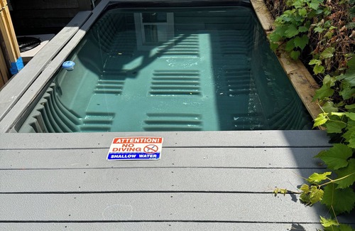 Bridgeport Apartment | Charming 2-bedroom 1 bathroom with plunge pool, new gazebo @ Bridgeport Chicago