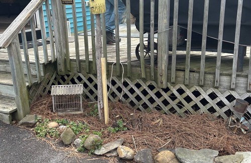 Bowers Beach Cottage | Charming 2-bedroom cottage with AC, WiFi, DE fields, restaurants, boats, beach