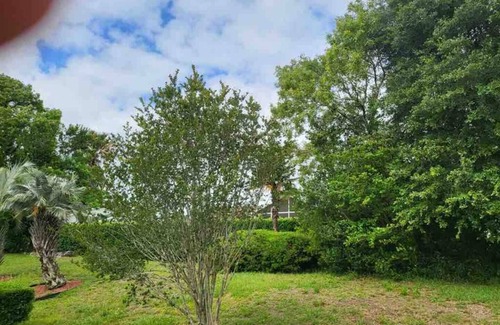 Ocala House | Charming 2-bedroom house in enchanting Ocala with AC