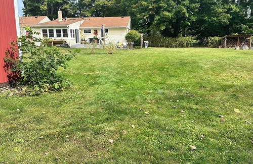 Dexter House | Charming 2-bedroom house in welcoming Dexter with WiFi, AC, one-acre yard