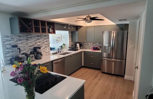 St. Petersburg - Clearwater House | Charming 3-bedroom house in phenomenal St. Petersburg with AC, WiFi and Pool.