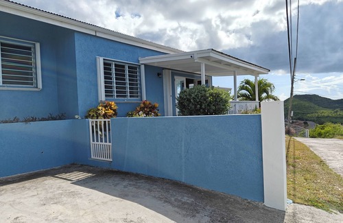 St. John's House | Charming 3-bedroom house with a view of St John's harbor, AC, WiFi, and parking