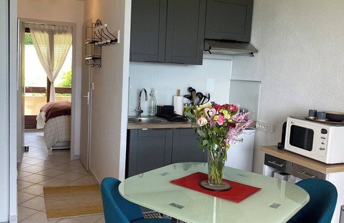 Evian-les-Bains Apartment | Charming apartment with exceptional view