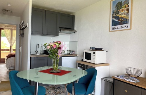 Evian-les-Bains Apartment | Charming apartment with exceptional view