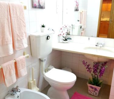 Sao Pedro do Sul Apartment | Charming apartment in São Pedro do Sul 30 m² with lake view