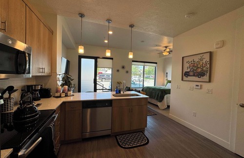 Downtown Salt Lake City Apartment | Charming apartment in superb Salt Lake City with gym - pay garage parking