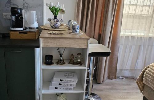 Lisse City Center Apartment | Charming Apartment in Lisse - 30 sqm with Terrace