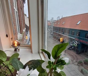 Randers Apartment | Charming Apartment On Pedestrian Street Randers