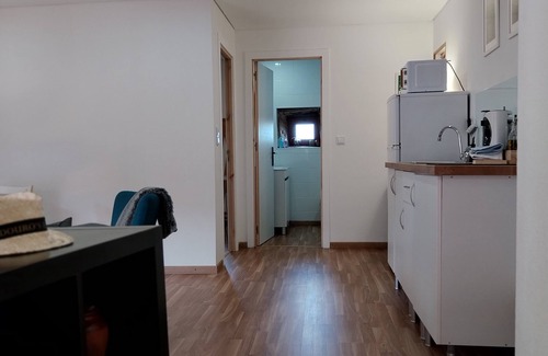 Armamar Apartment | Charming apartment with WiFi and AC in marvelous Fontelo