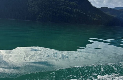 Kent Bed & Breakfast | Charming Bed & Coffee in Agassiz 10 min to Harrison Hot Springs & Harrison Lake