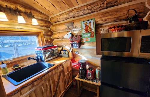 Lewis Cabin | Charming cabin good for a couple @ Canyon of the Ancients Guest Ranch