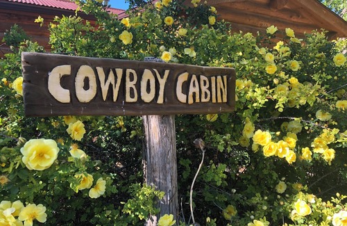 Lewis Cabin | Charming cabin good for a couple @ Canyon of the Ancients Guest Ranch