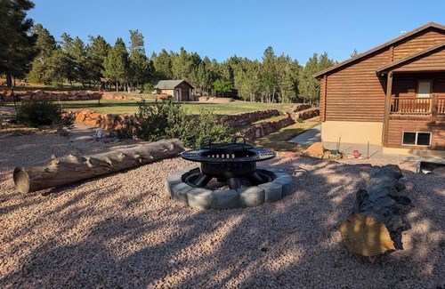 Hot Springs Cabin | Charming cabin with 1 bedroom and WiFi, AC in serene Custer