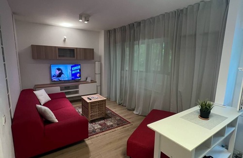 Bucharest Apartment | Charming Central 1-bedroom apartment in enjoyable București