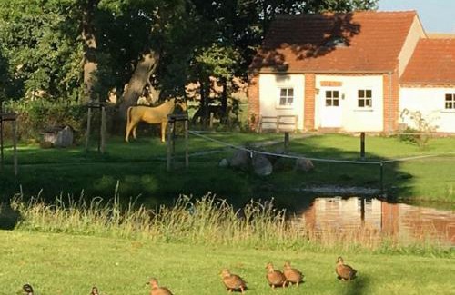 Groß Wokern House | Charming Cottage In The Heart Of Nature