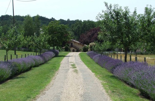 Le Bugue Cottage | Charming Cottage with Shared Pool in Peaceful Périgord Noir