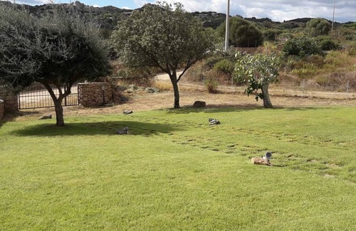 Cannigione House | Charming Countryside home near Costa Smeralda Sardinia, with beautiful sea views