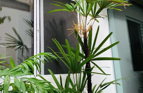 Zona Sul Apartment | Charming&Cozy ground floor apartment