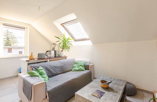 Erstein Apartment | Charming F2 in Erstein Comfort