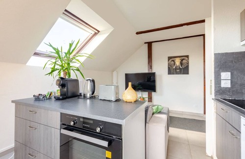 Erstein Apartment | Charming F2 in Erstein Comfort