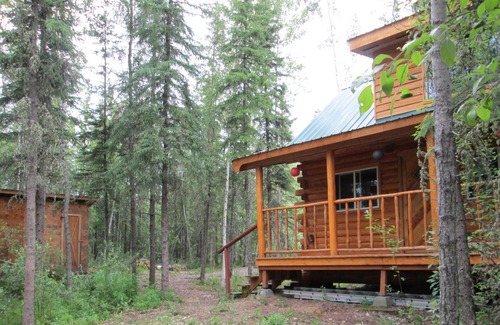 Fairbanks Cabin | Charming forest cabin -sled dogs