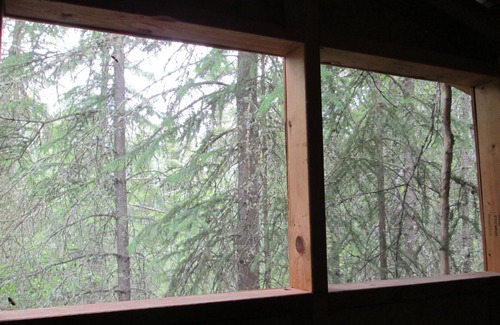 Fairbanks Cabin | Charming forest cabin -sled dogs