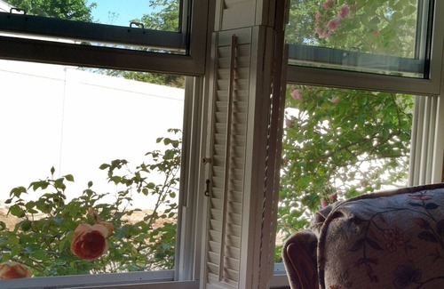 Branford Cottage | Charming Historic Cottage, 130 Footsteps To Private Beach, Sleeps Five, Peaceful