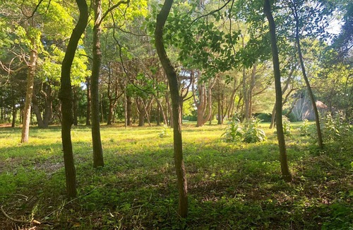 Sagaponack House | Charming Historic Home in Sagaponack, Southampton – Walk to the Beach