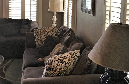 Nacogdoches House | Charming Home in Historical Nacogdoches!