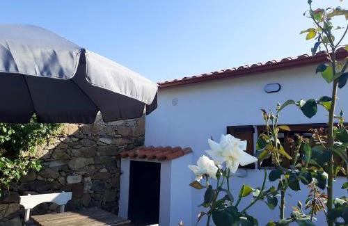 Salsas House | Charming house in Parada with mountain view and fenced garden