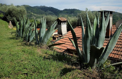 Stiava House | Charming house in the hills with garden, panoramic view of the sea and swimming pool