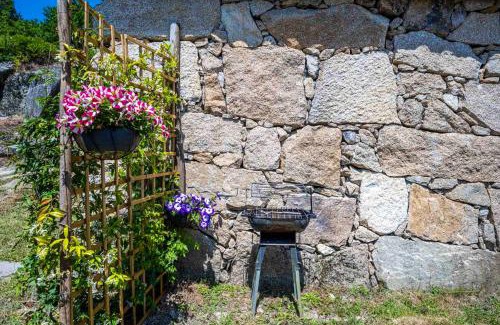 Mondim de Basto House | Charming house with mountain view in Vilar de Ferreiros