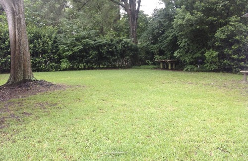 Putnam Hall House | Charming House in Beautiful North Florida, Keystone Heights, 40 Min to U.F.