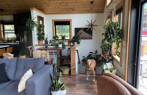 Roan Mountain House | Charming Mountain Cabin: 2 Bd +loft w Fireplace on Creek and Pond on 15 acres